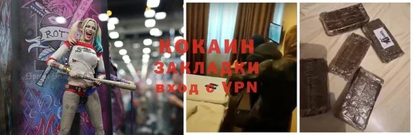 гашик Гусев