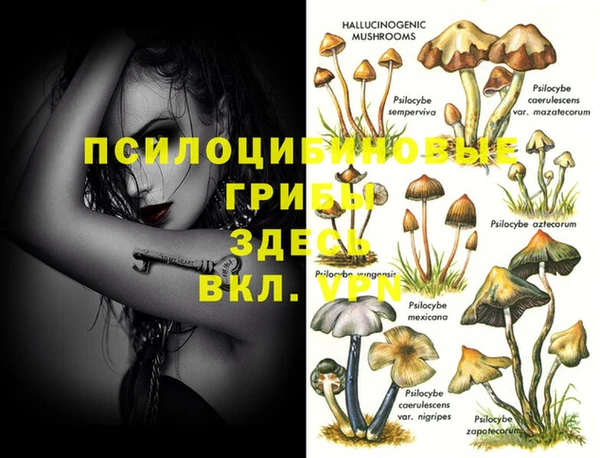 марки nbome Гусиноозёрск