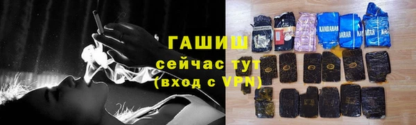 гашик Гусев