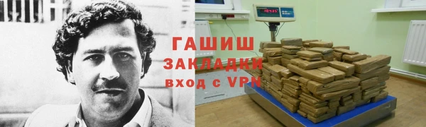 гашик Гусев