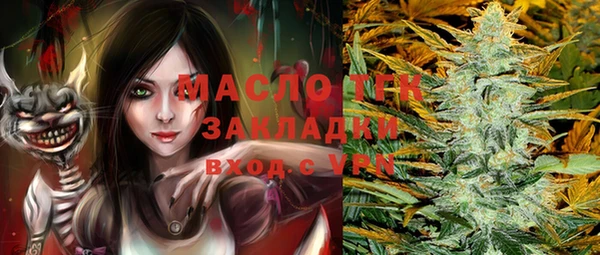 дмт Дмитров
