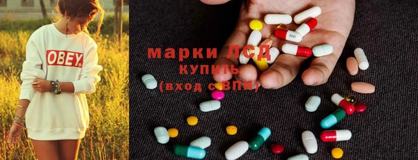 дмт Дмитров