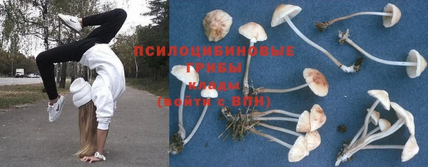 дмт Дмитров