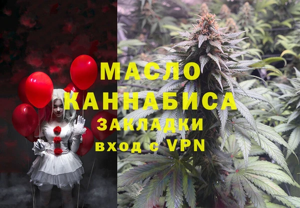 гашик Гусев
