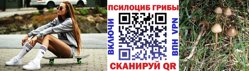купить  сайты  Калач  hydra сайт  Галлюциногенные грибы MAGIC MUSHROOMS 